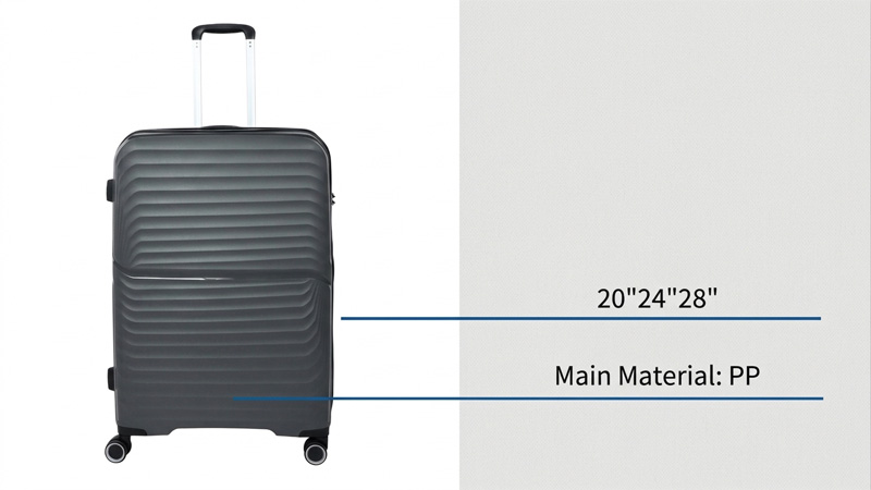 hard luggage hard luggage